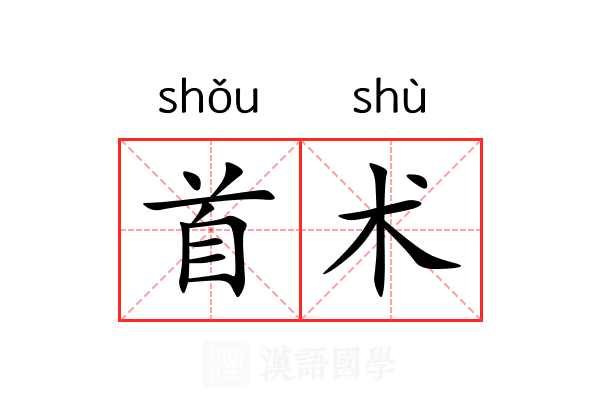 首术