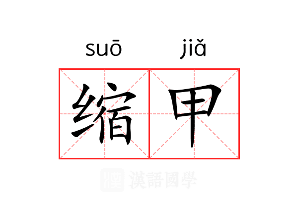 缩甲