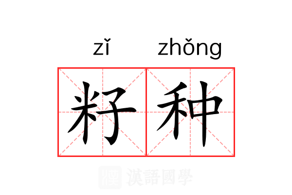 籽种
