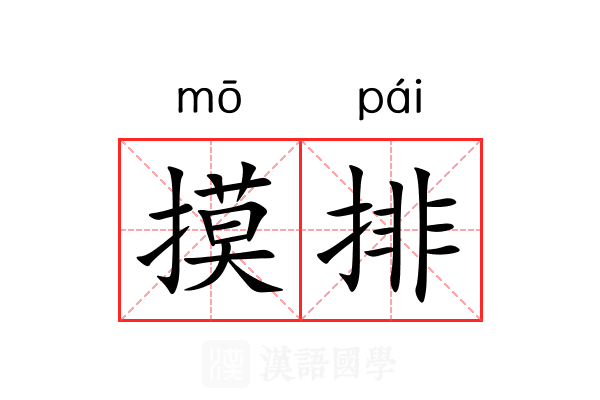 摸排