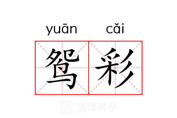 鸳彩 鸳彩