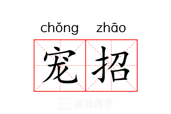 宠招 宠招