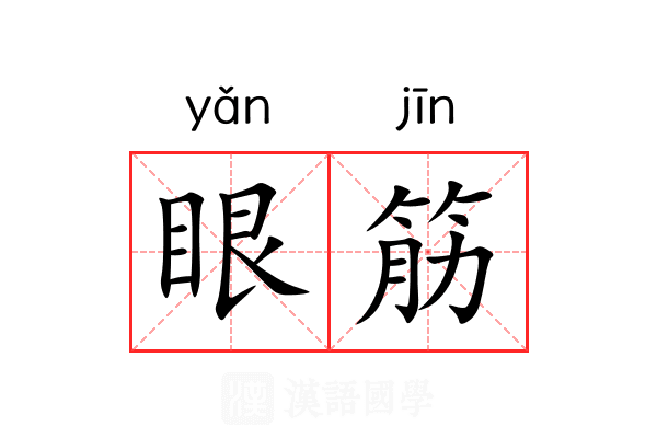 眼筋 眼筋