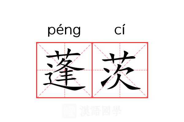 蓬茨 蓬茨
