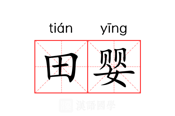田婴