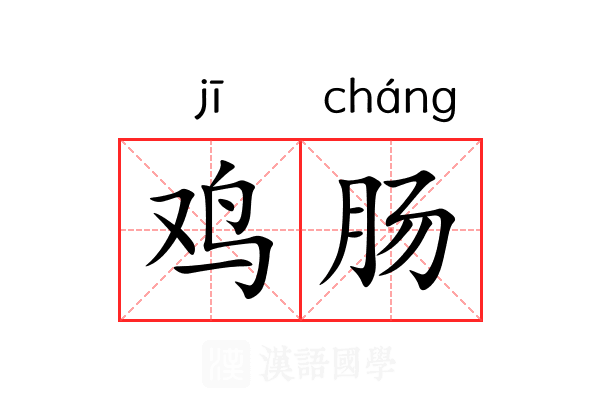 鸡肠