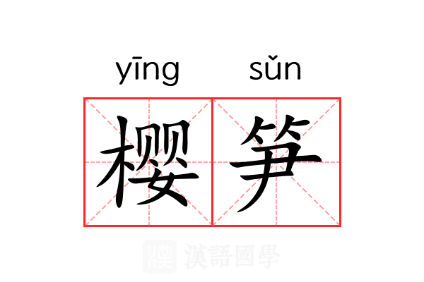 樱笋