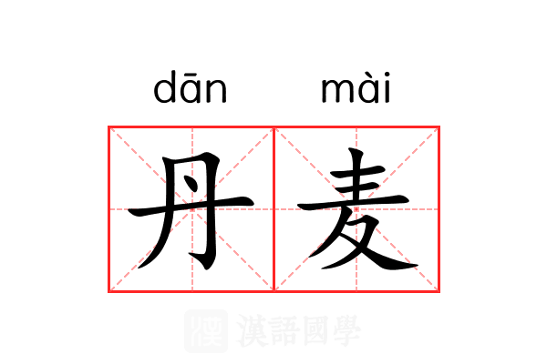 丹麦 丹麦