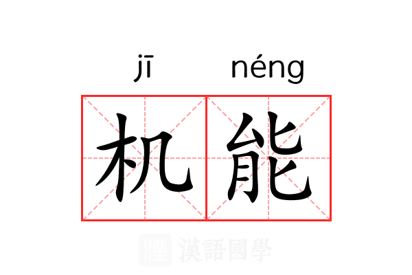机能 机能