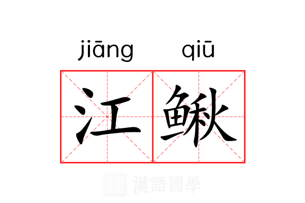江鳅