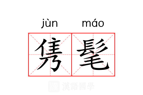 隽髦