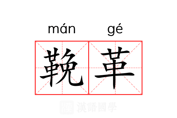 鞔革 鞔革