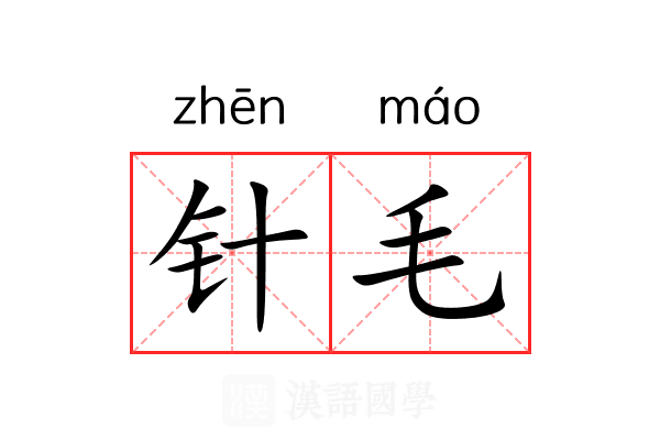 针毛 针毛