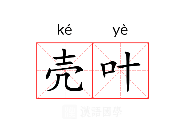 壳叶