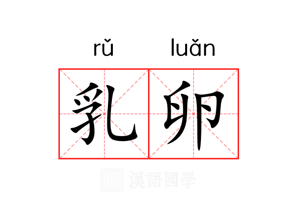 乳卵 乳卵