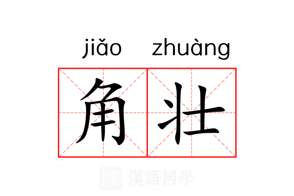 角壮 角壮