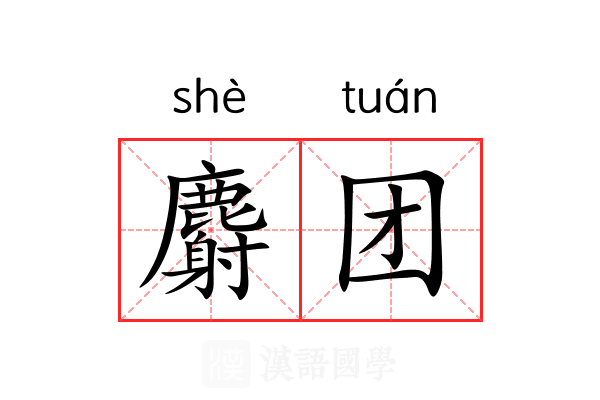 麝团 麝团