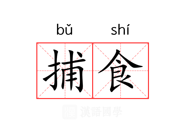 捕食