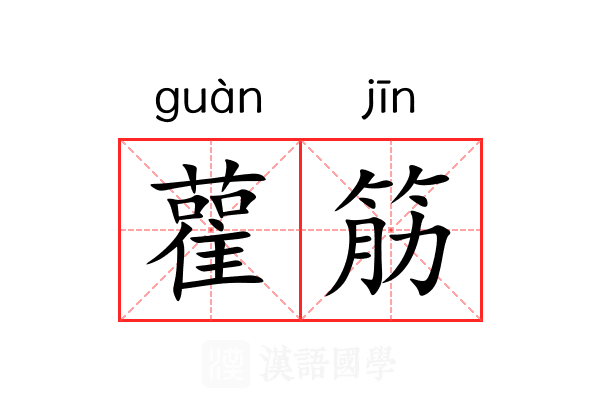 雚筋