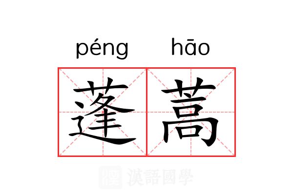 蓬蒿 蓬蒿