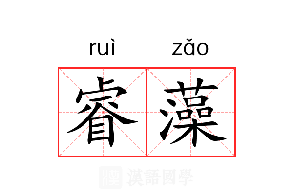 睿藻 睿藻