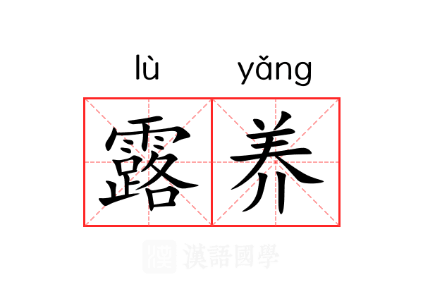 露养 露养