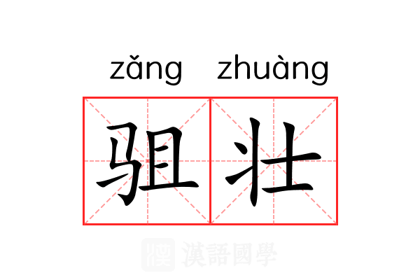 驵壮