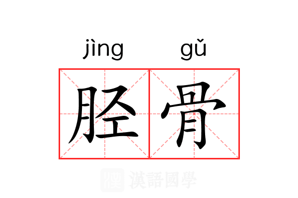 胫骨