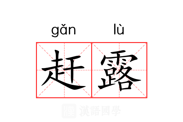 赶露 赶露