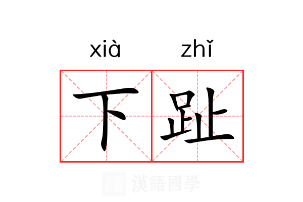 下趾