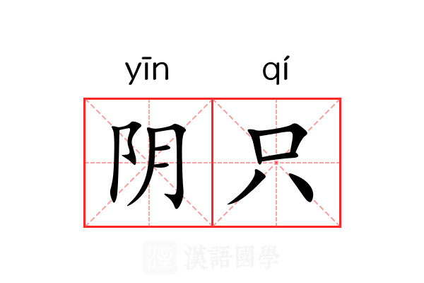阴只 阴只