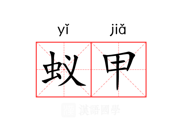 蚁甲 蚁甲