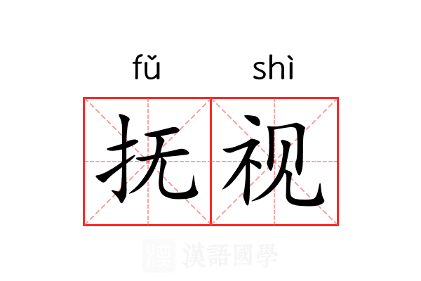 抚视