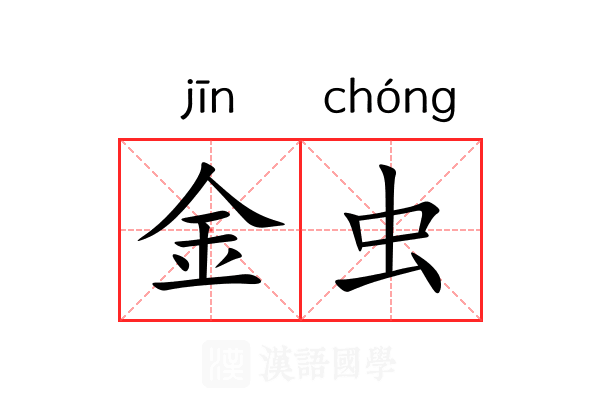 金虫 金虫