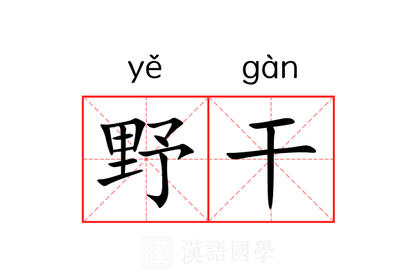 野干 野干