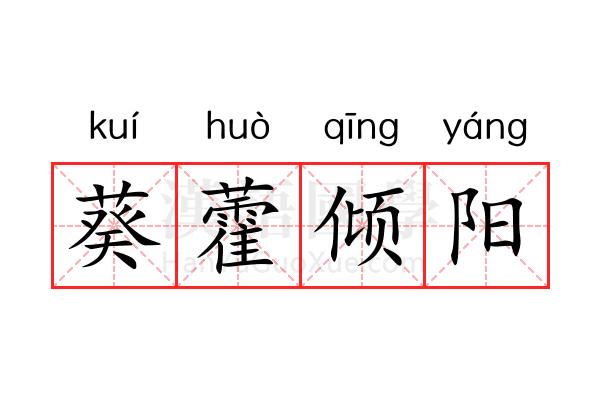 葵藿倾阳 葵藿倾阳