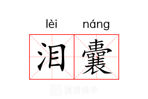 泪囊