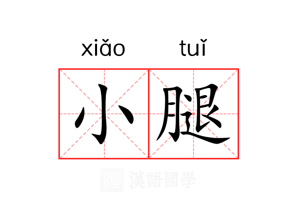 小腿