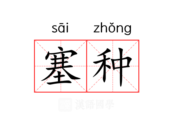 塞种 塞种