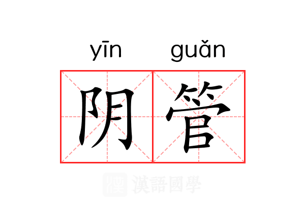 阴管 阴管