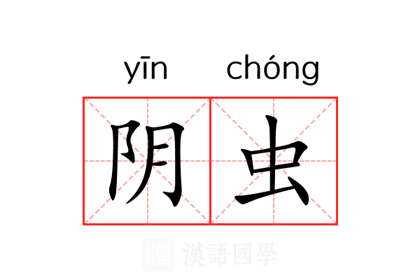 阴虫 阴虫