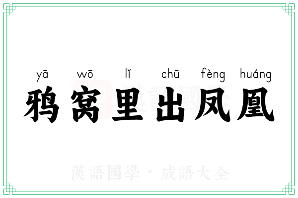 鸦窝里出凤凰 鸦窝里出凤凰