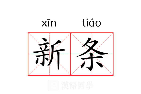 新条