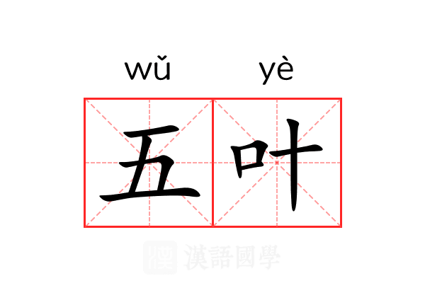 五叶