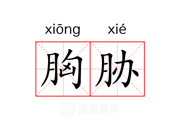 胸胁