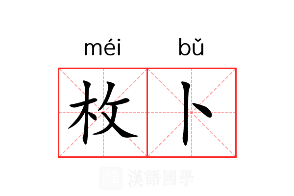 枚卜