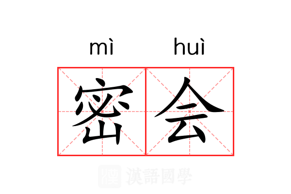 密会 密会
