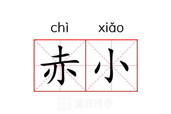 赤小 赤小