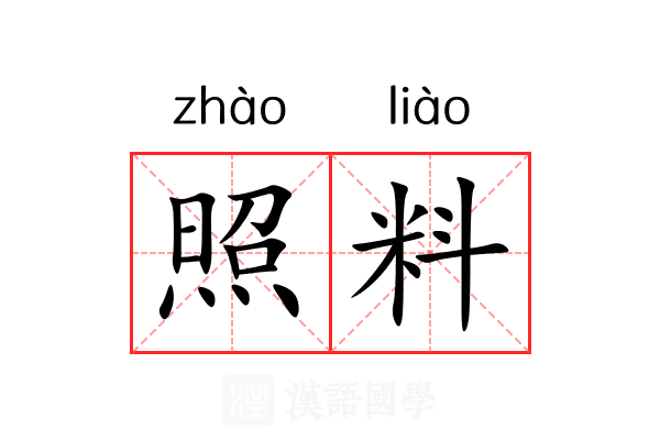 照料
