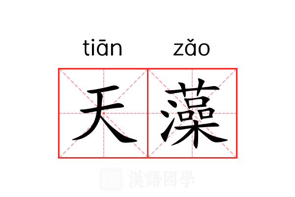 天藻 天藻